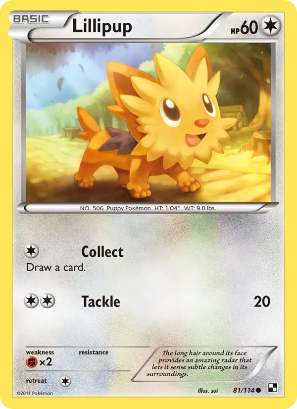 Lillipup #81/114