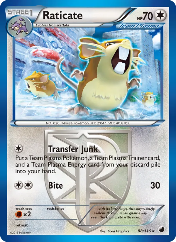 Raticate #88/116