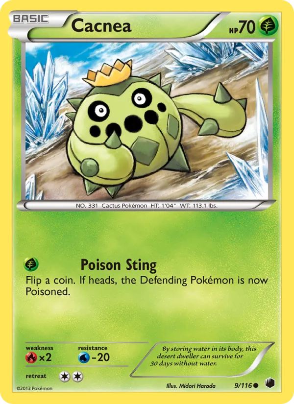 Cacnea #9/116