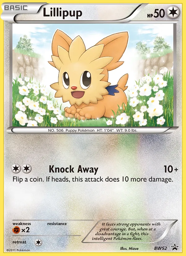 Lillipup #BW52/101