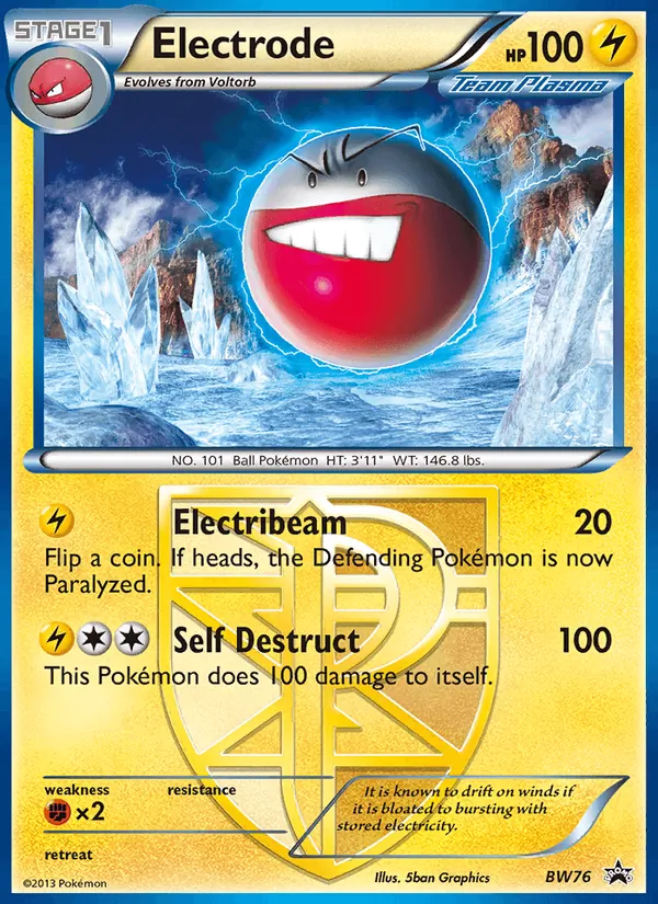 Electrode #BW76/101
