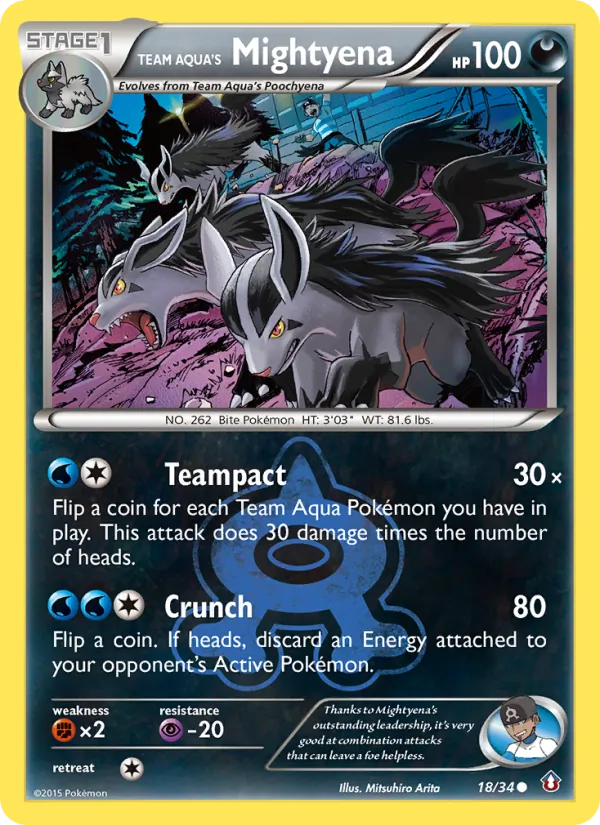 Team Aqua's Mightyena #18/34