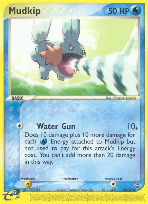 Mudkip #65/97