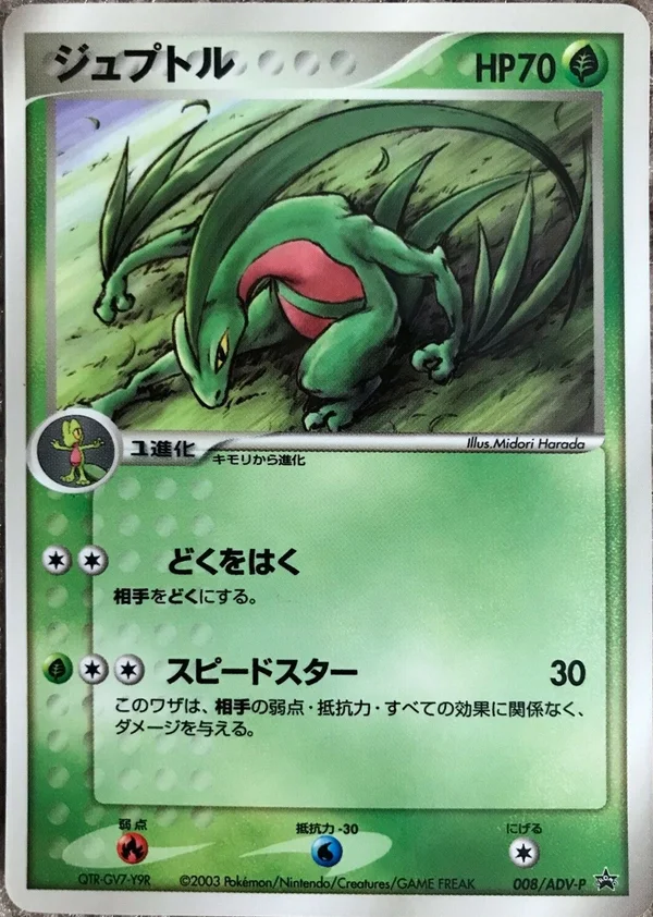 Grovyle #8