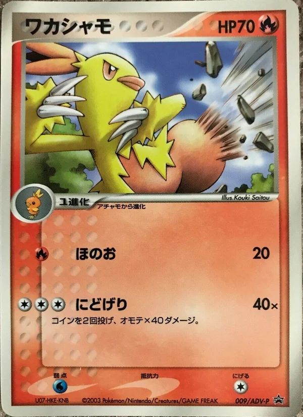Combusken #9