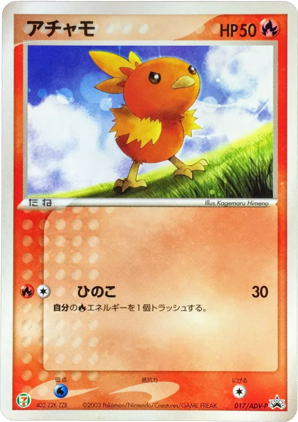 Torchic #17