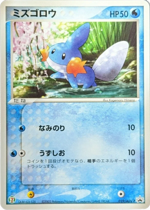 Mudkip #19