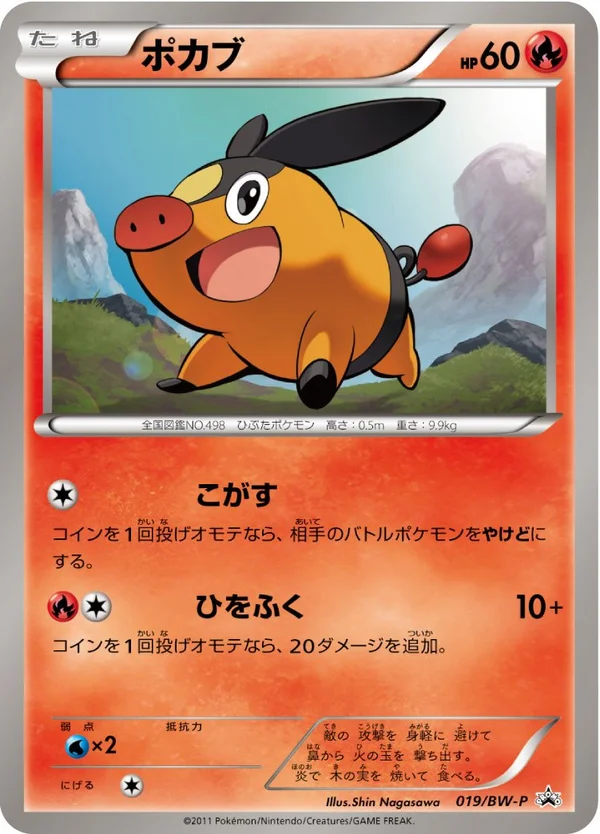 Tepig #19