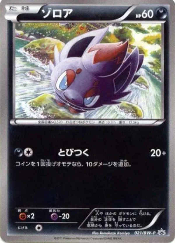 Zorua #21