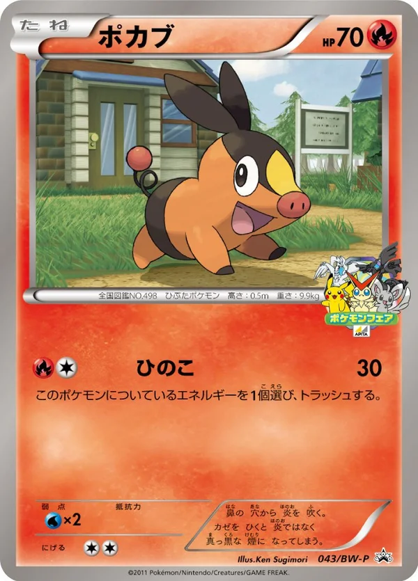 Tepig #43