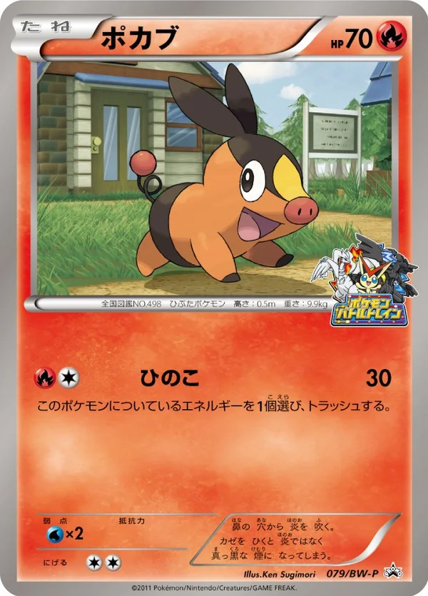 Tepig #79