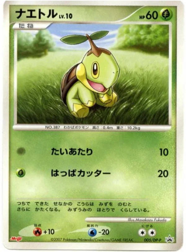 Turtwig #5