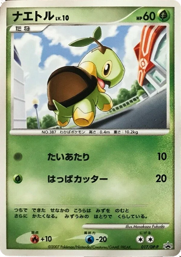 Turtwig #17