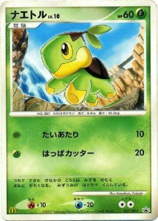 Turtwig #27