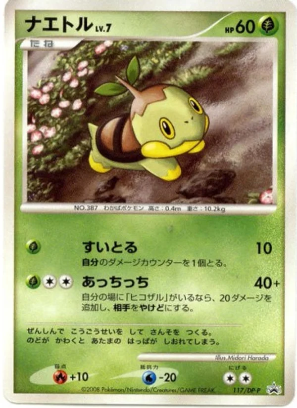 Turtwig #117