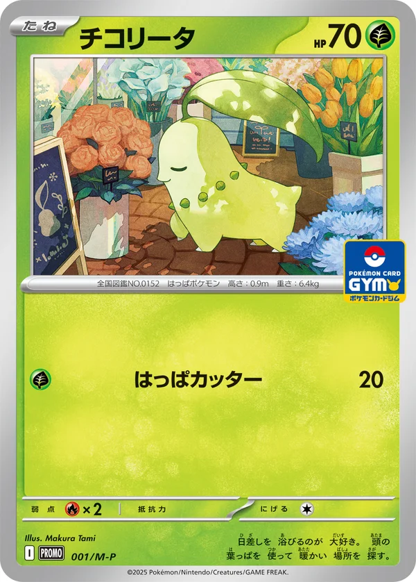 チコリータ #1