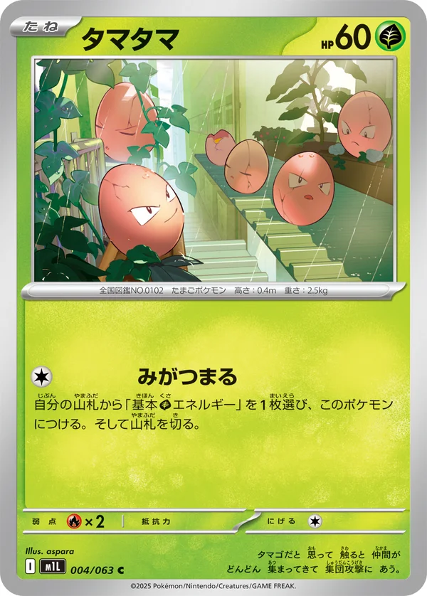 タマタマ #4/63