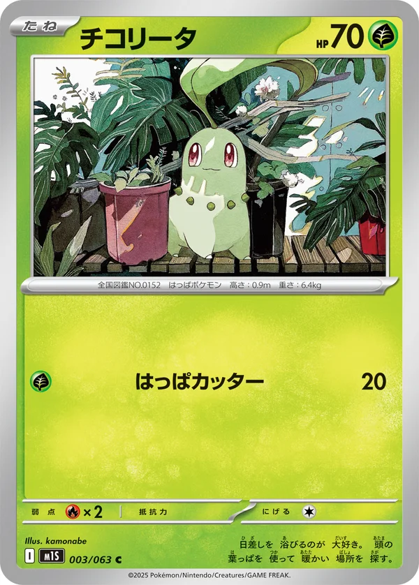 チコリータ #3/63