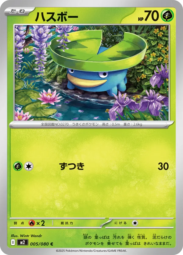 ハスボー #5/80