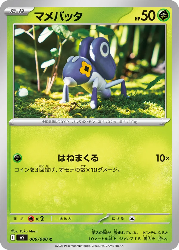 マメバッタ #9/80