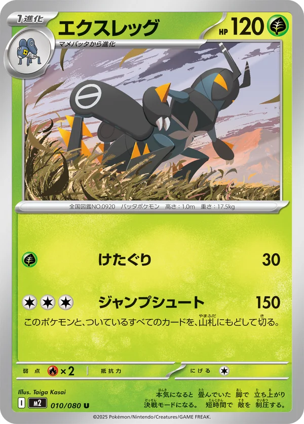 エクスレッグ #10/80