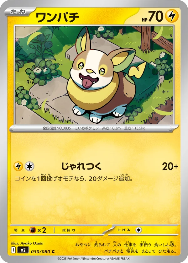 ワンパチ #30/80