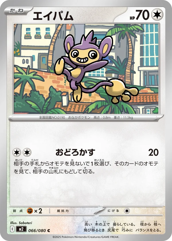 エイパム #66/80