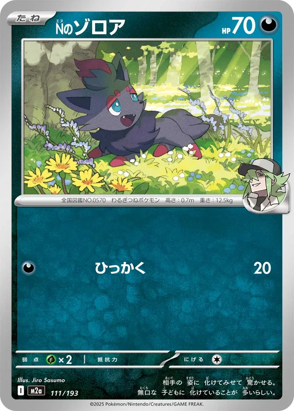 Nのゾロア #111/193