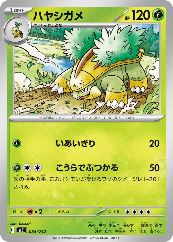 ハヤシガメ #35/742