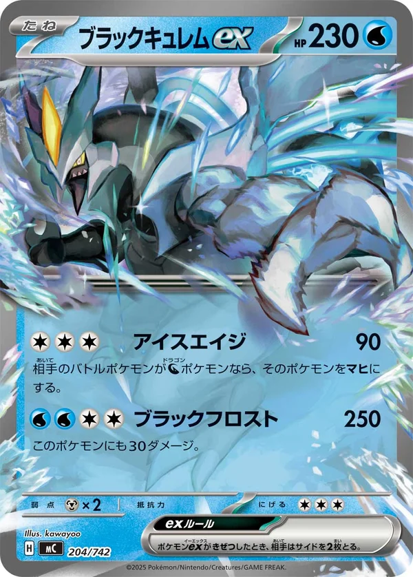 ブラックキュレムex #204/742