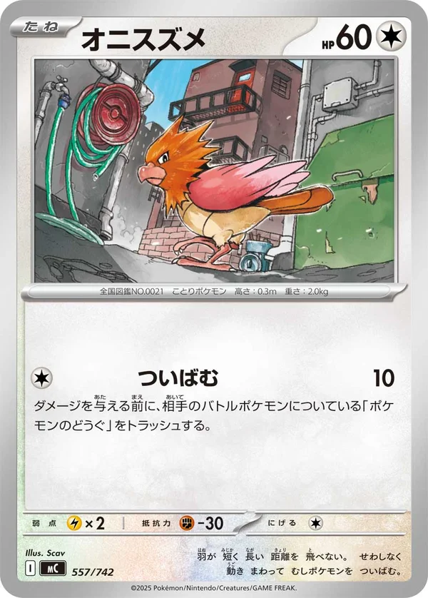 オニスズメ #557/742