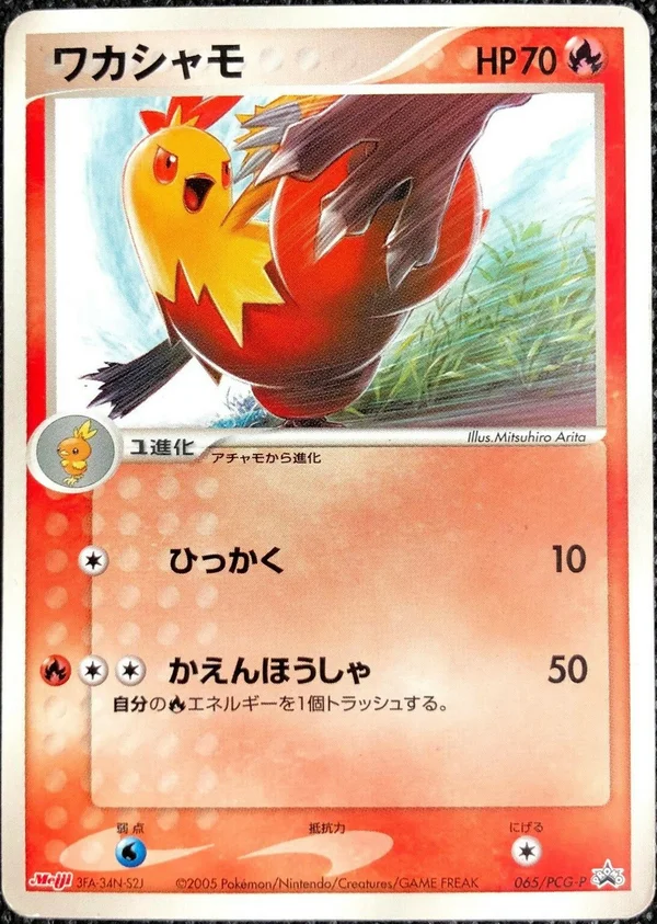 Combusken #65