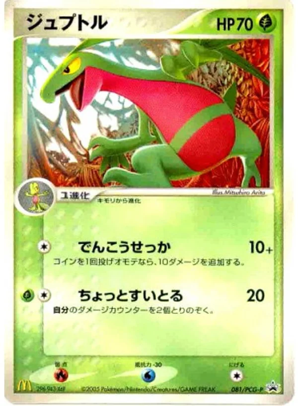 Grovyle #81