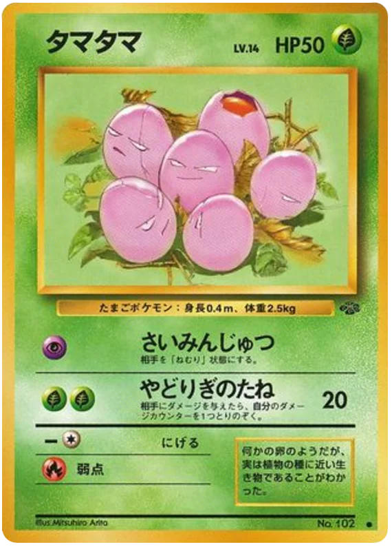 タマタマ #6/48