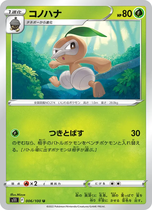 コノハナ #6/100