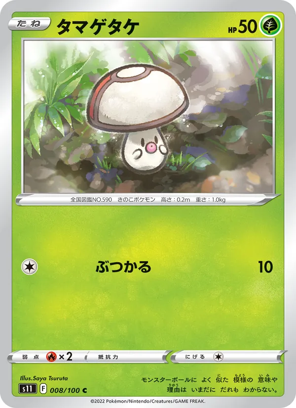 タマゲタケ #8/100