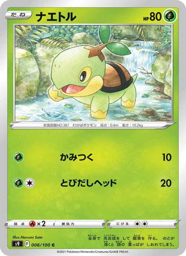 ナエトル #6/100