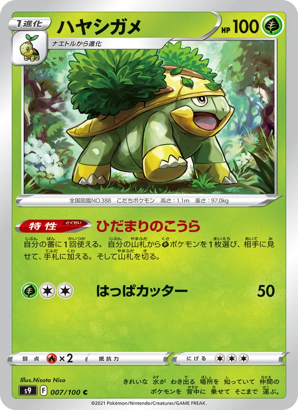 ハヤシガメ #7/100