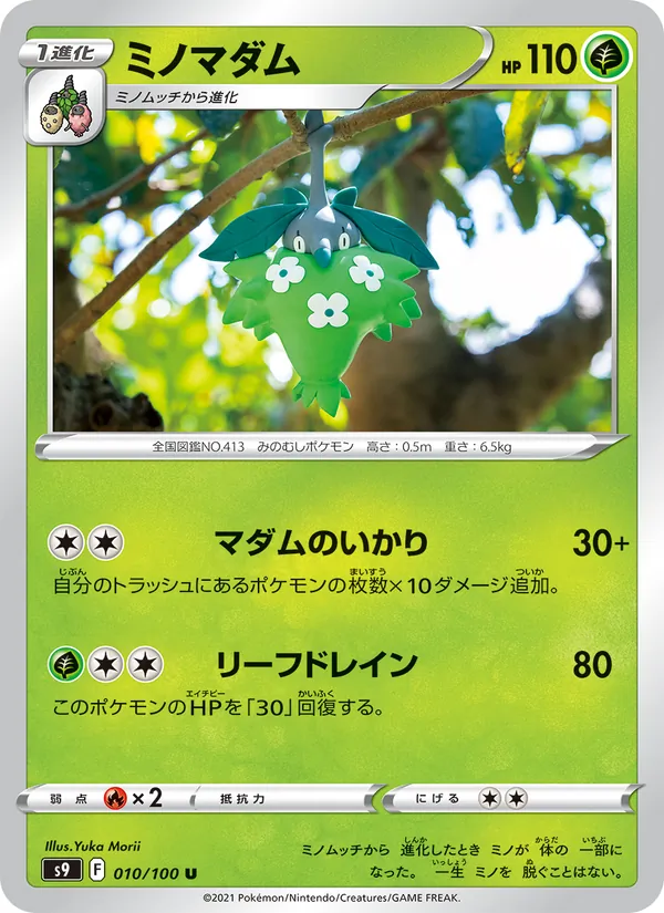 ミノマダム #10/100