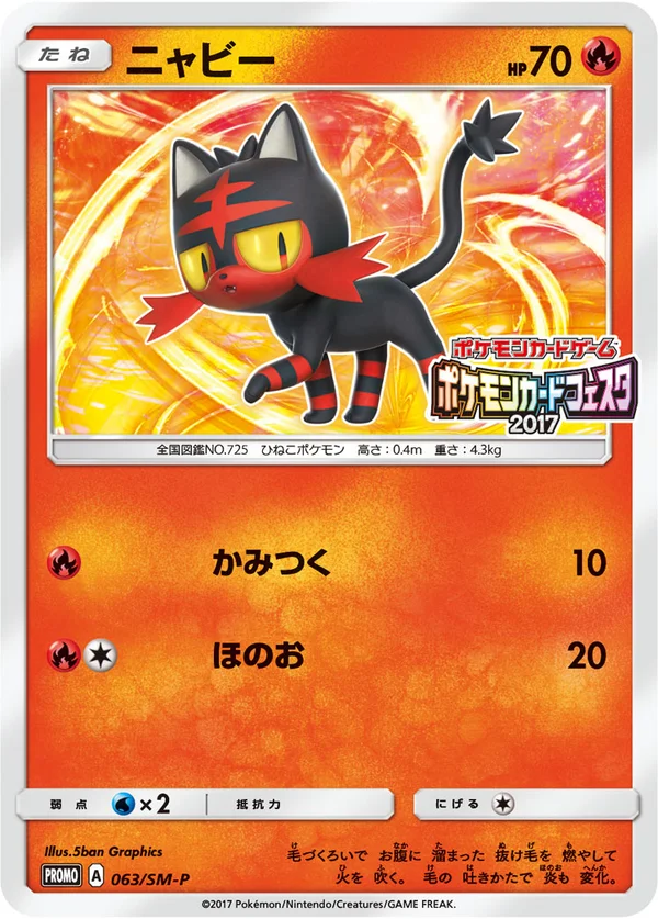 Litten #63