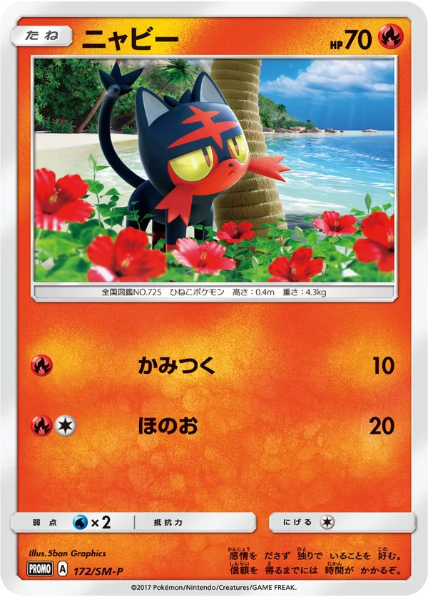 Litten #172