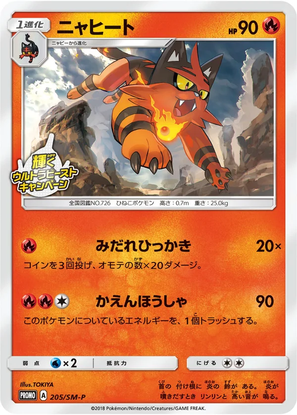 Torracat #205