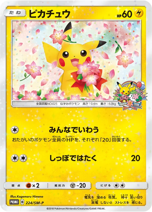 Pikachu #224