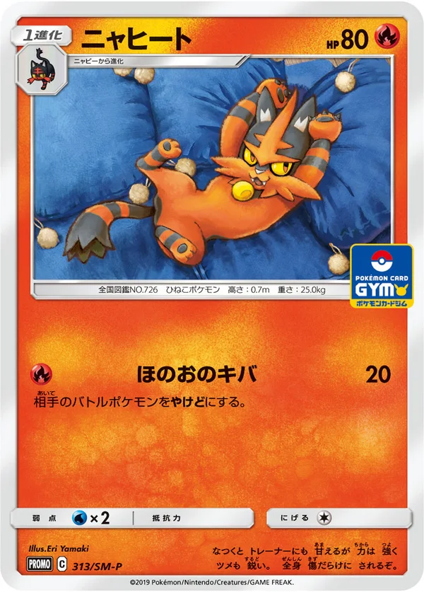 Torracat #313