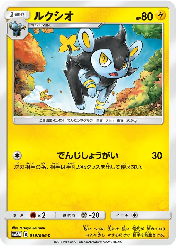 ルクシオ #19/66