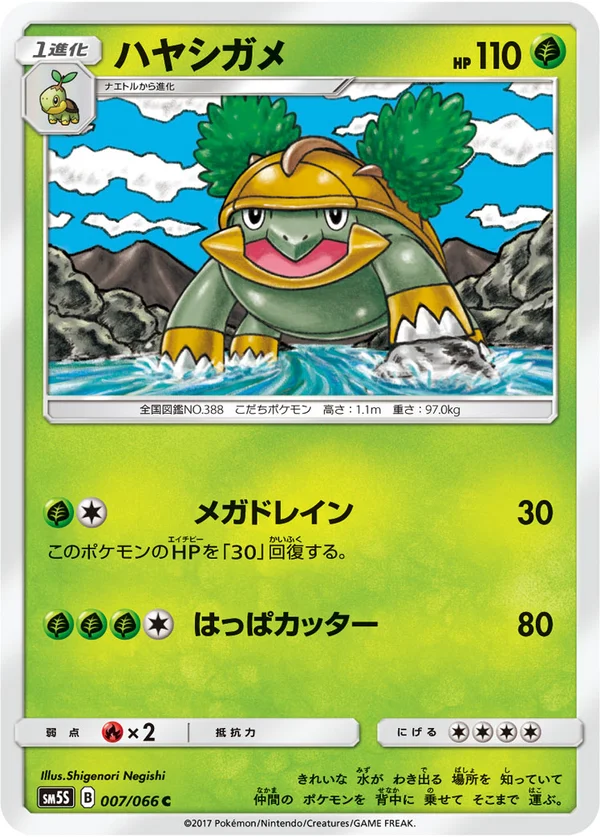 ハヤシガメ #7/66