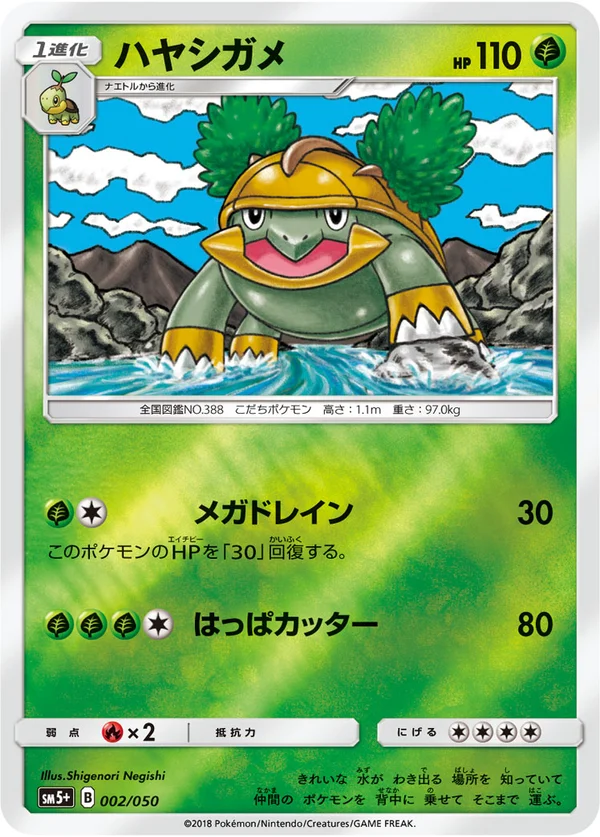 ハヤシガメ #2/50