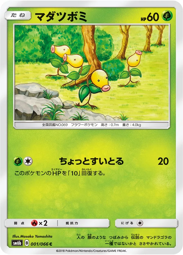 マダツボミ #1/66