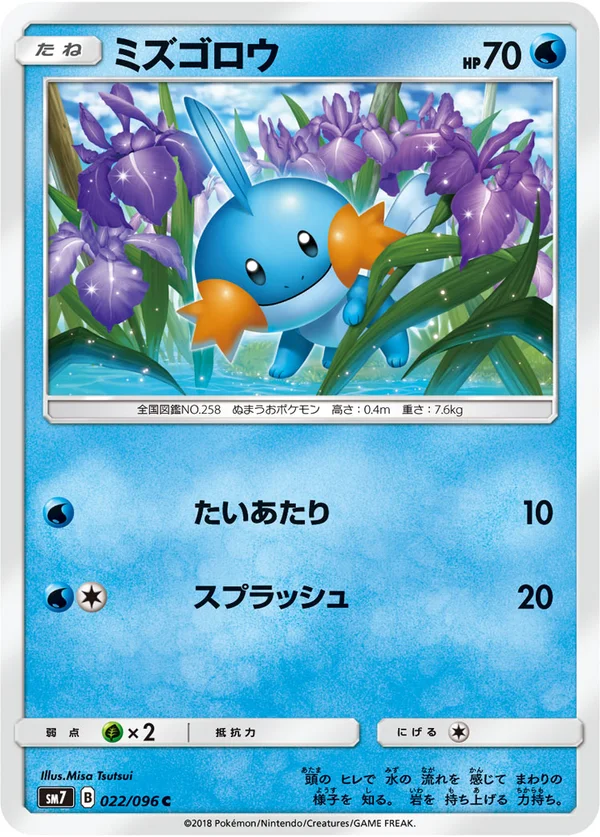ミズゴロウ #22/96