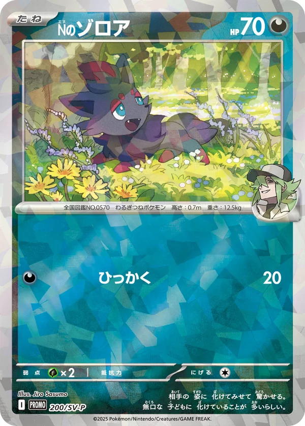Nのゾロア #200